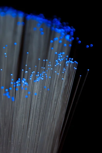 stock image Optical fibers