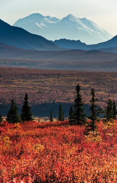 Mt McKinley con tundra roja de otoño Fotos de stock libres de derechos