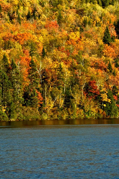 Осінні кольори з озером Ліцензійні Стокові Зображення