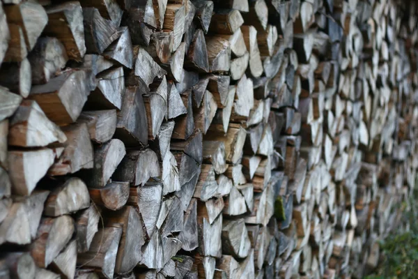 stock image Wood