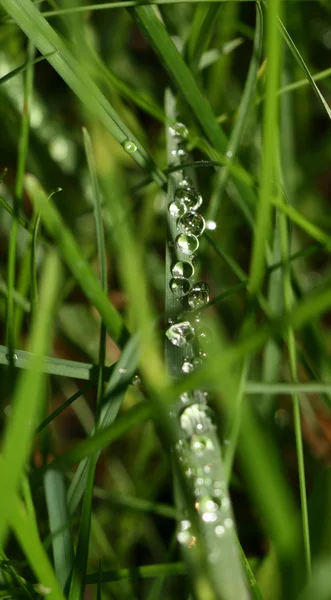 stock image Waterdrop