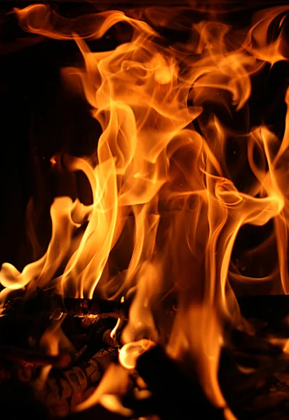 Fire, flame — Stock Photo, Image
