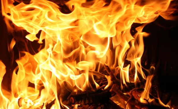 Fire, flame — Stock Photo, Image