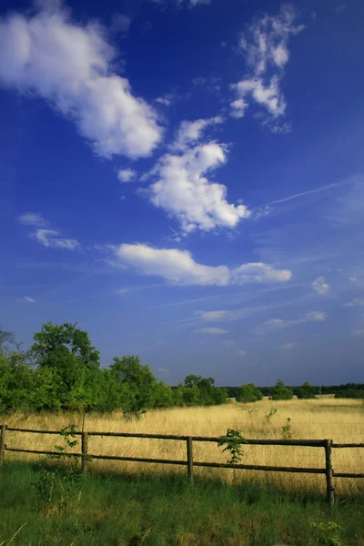 Verão paisagem rural — Fotografia de Stock