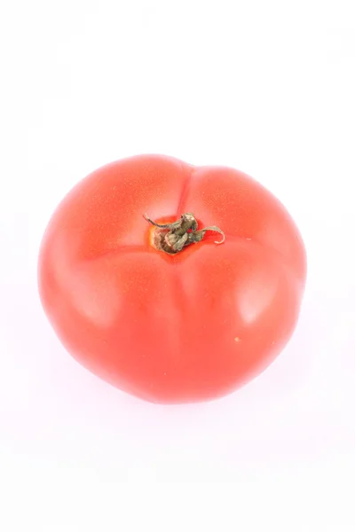 Tomat Royaltyfria Stockbilder