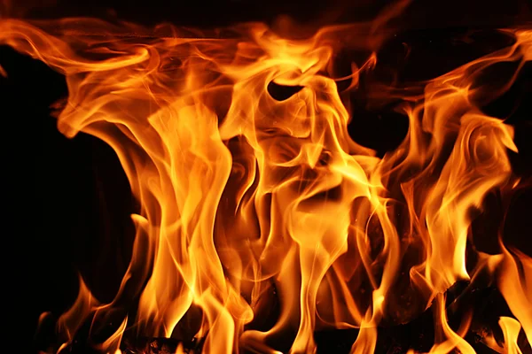 Tűz, láng Stock Kép