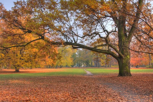 stock image Autumn in the park