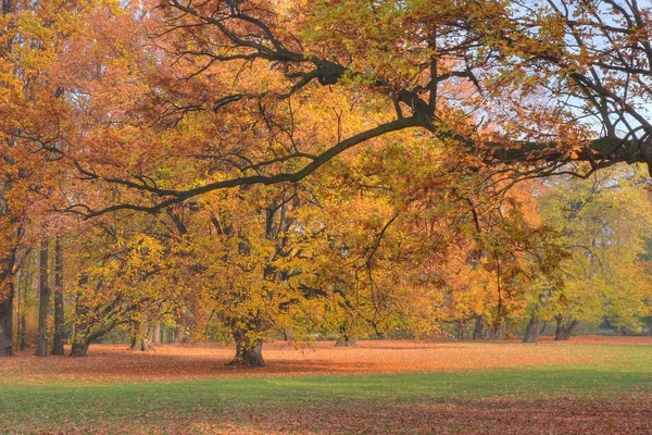 Stock image Autumn in the park