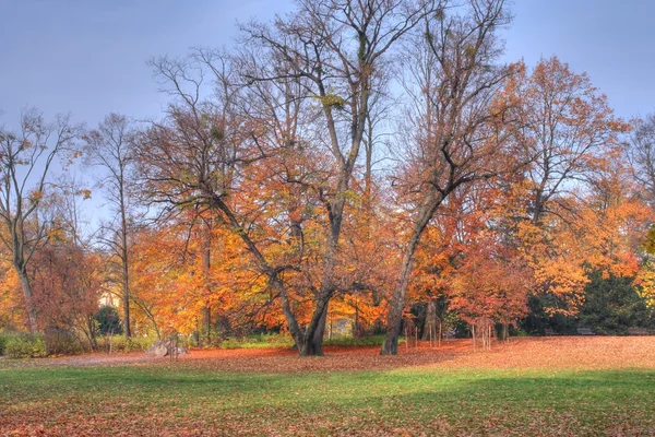 stock image Autumn in the park