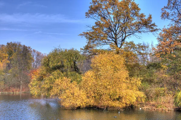 stock image Autumn in the park