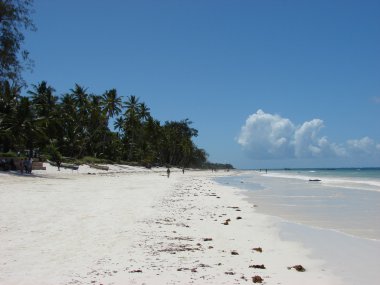 Tropical beach on the India ocean