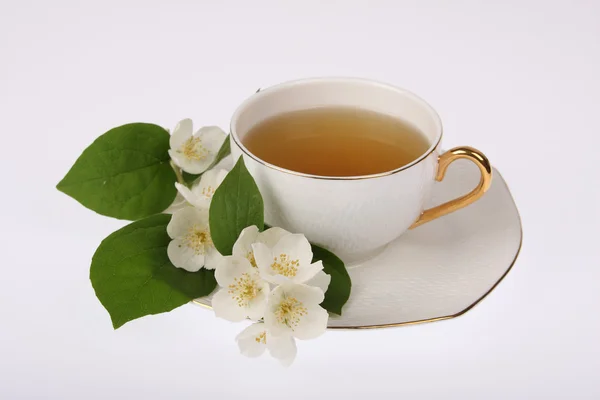 stock image Jasmine tea