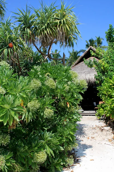 Maledivy bungalov — Stock fotografie