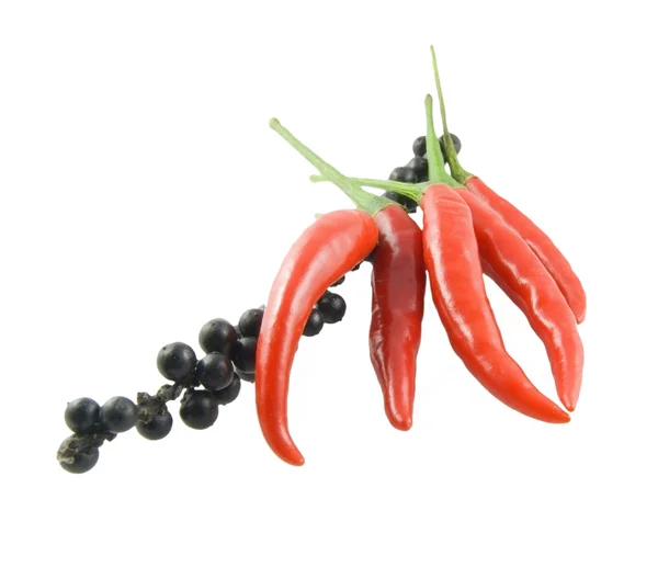 Chili and black bell pepper — Stock Photo, Image