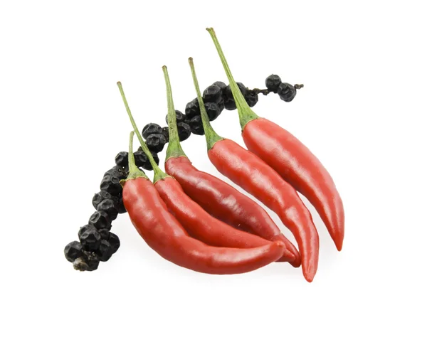 Red pepper chili and a black pepper — Stock Photo, Image