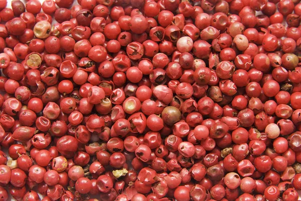 빨간 배경 유기농 고추 — 스톡 사진
