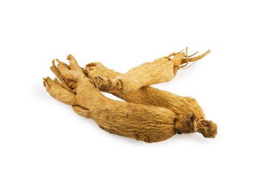 Ginseng roots clipart