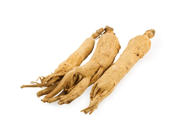 Três raízes de ginseng — Fotografia de Stock