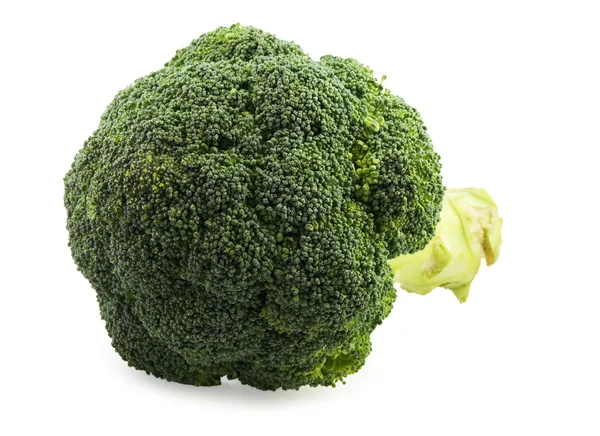 stock image Broccoli