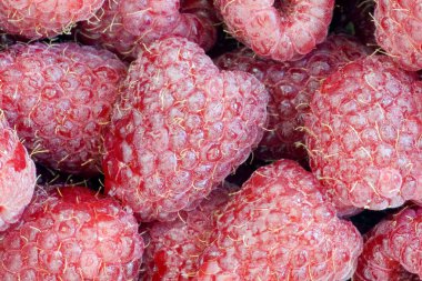 Bunch of a red raspberry