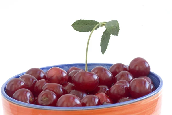 Zralé sladké cherry — Stock fotografie