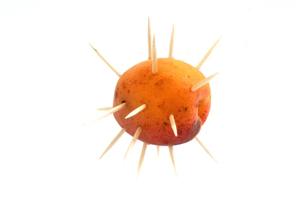 Stock image Apricot