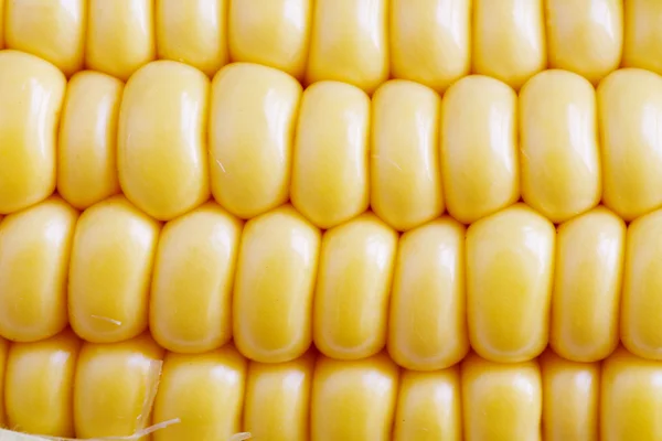 stock image Corn Texture Background