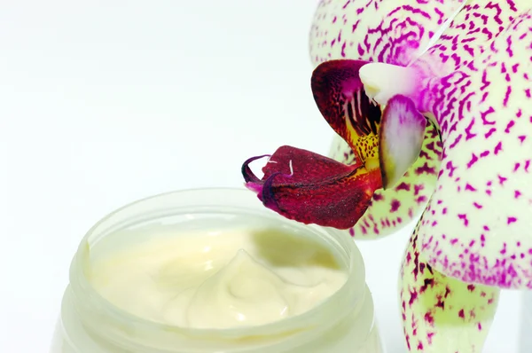 Crema con orquídeas. Concepto Spa —  Fotos de Stock