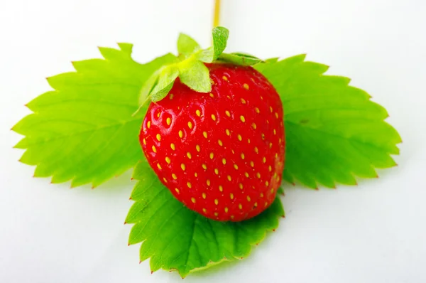Strawberrie — стокове фото