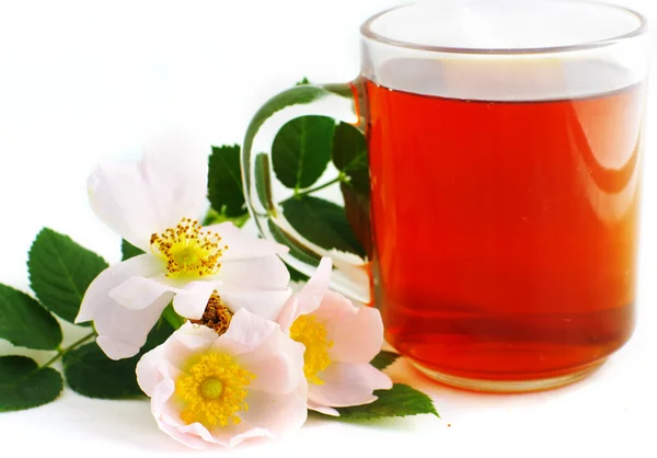 Gyógynövény tea üveg pohár — Stock Fotó