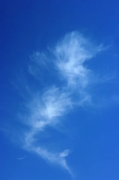 Cloud look like sea-horse — Stock Photo, Image