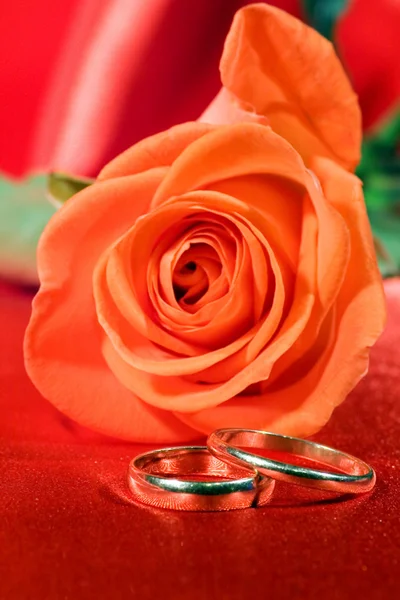 Casamento rengs — Fotografia de Stock