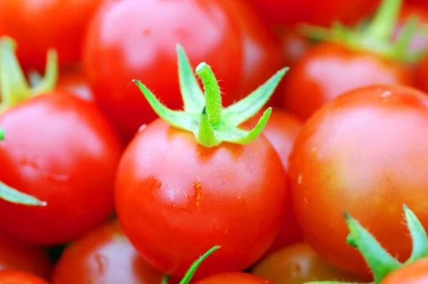 Cherry tomatoes close-up. — Stock Photo, Image