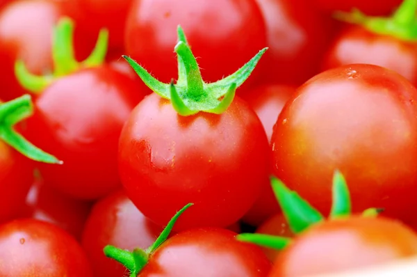 Cherry tomatoes close-up. — Stock Photo, Image