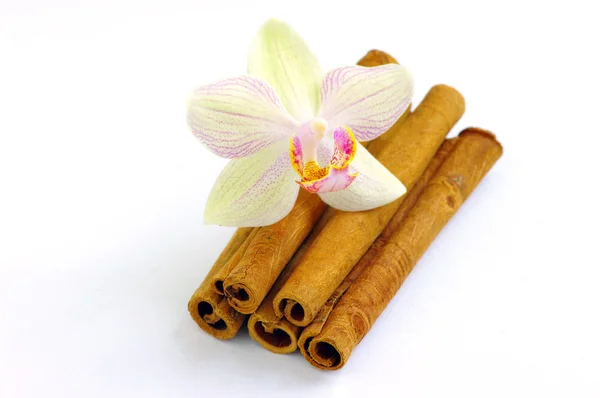 Close up of cinnamon sticks, shallow Dof — Stock Photo, Image