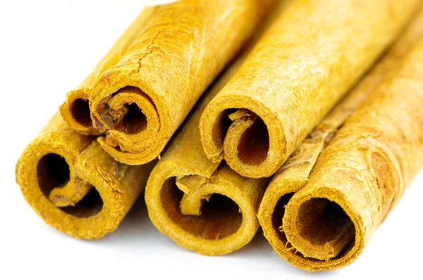 Cinnamon sticks on white background — Stock Photo, Image