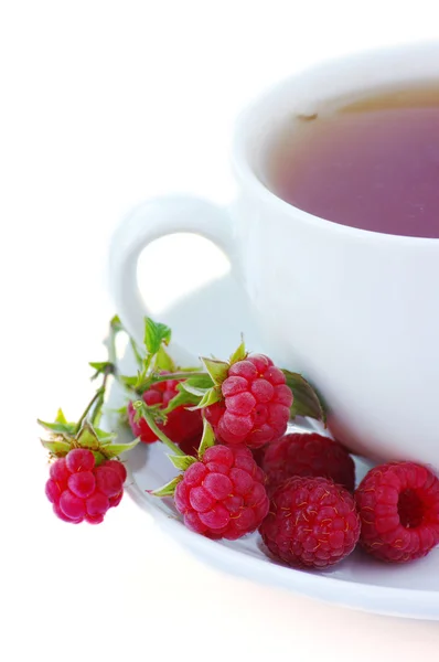 Raspberry tea — Stock Photo, Image