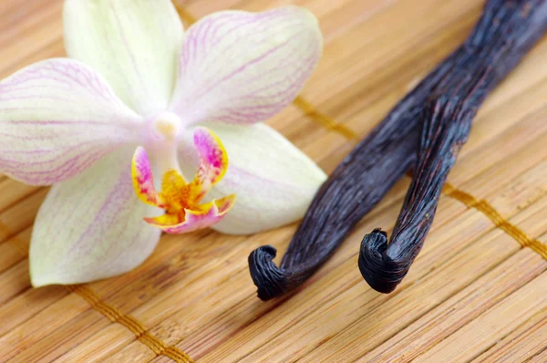 Orkidé med vanilj bönor på mattan — Stockfoto