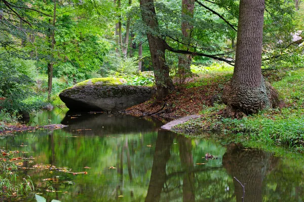 Stock image Green forest and river with big stone