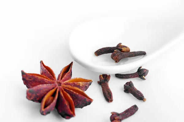 Spices on the white background — Stock Photo, Image