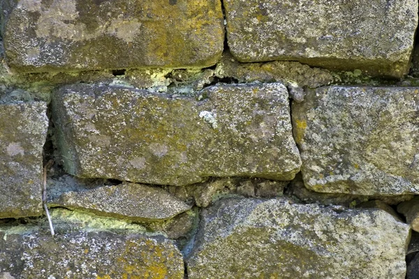 石造りの壁テクスチャの詳細 — ストック写真