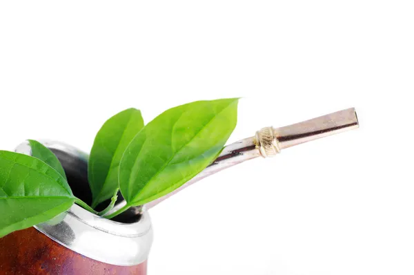Mate Cup — Stock Photo, Image