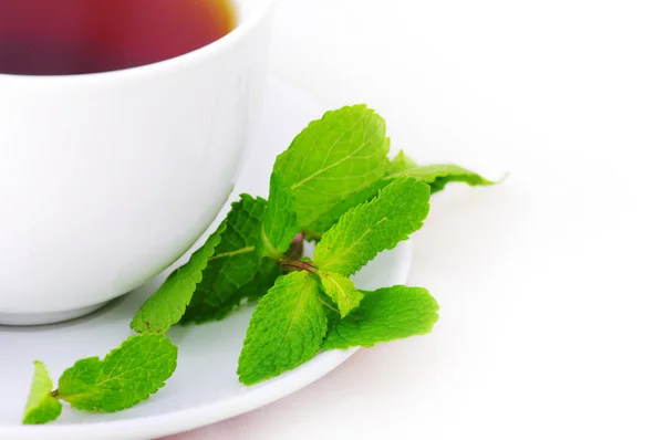 Cup of black tea with mint — Stock Photo, Image