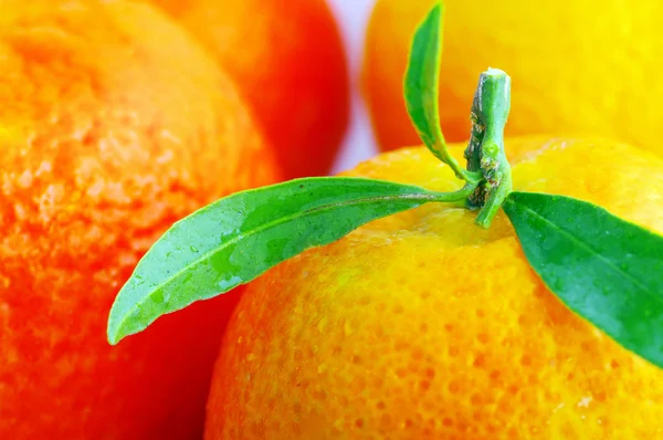 Mandarina con hojas —  Fotos de Stock