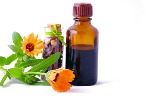 Medicina herbal com ervas  . — Fotografia de Stock