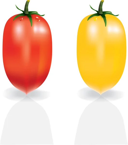 Tomates brillantes — Archivo Imágenes Vectoriales