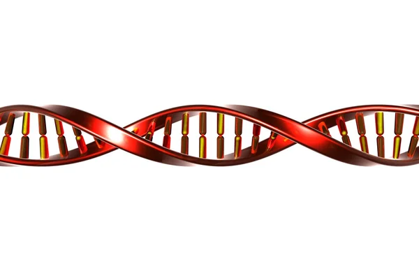 DNA — Zdjęcie stockowe