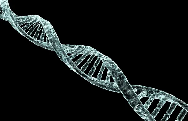 DNA — Φωτογραφία Αρχείου