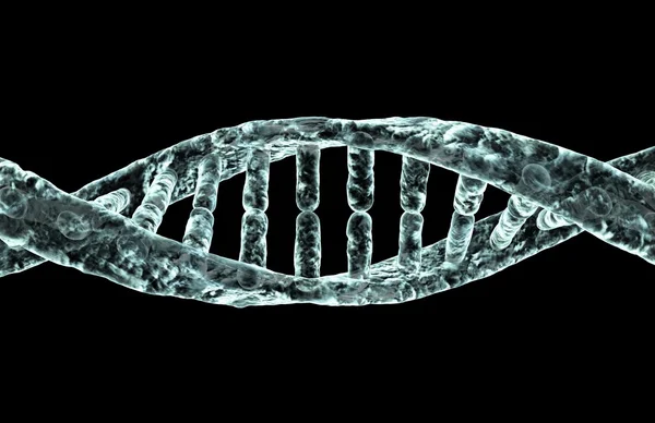 ДНК Стокова Картинка