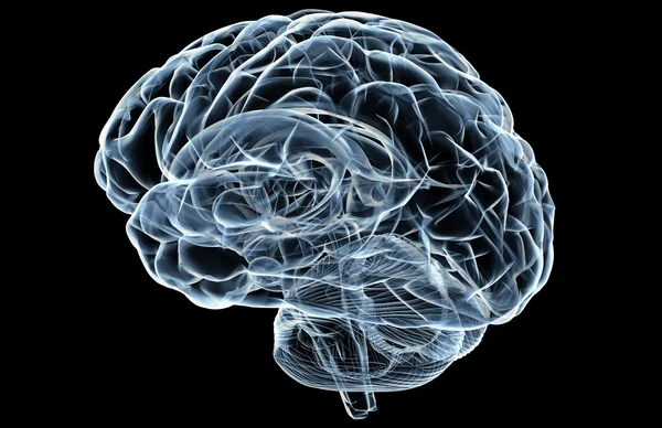Рентгенівська мозку Ліцензійні Стокові Зображення